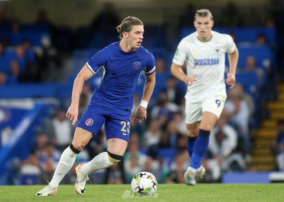 析师认为 析师认为